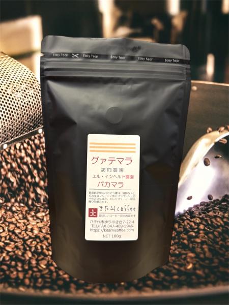 【トロピカルな味わいのパカマラ種】グァテマラ エル・インヘルト農園パカマラ種 100g/200g　